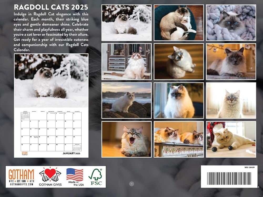 Amazon | Ragdoll 猫カレンダー 2024 壁掛けカレンダー