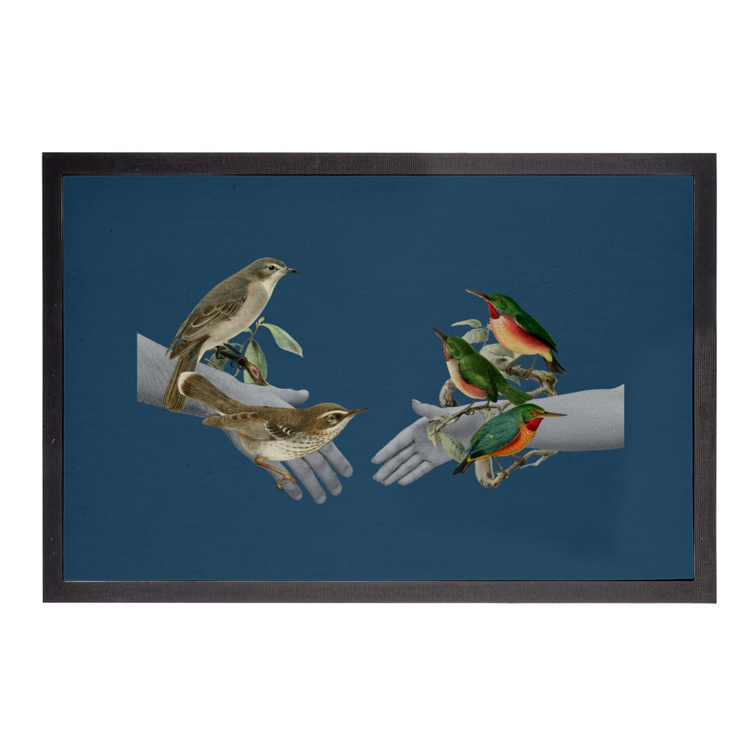 Paillasson bleu oiseaux 75x50cm idéal pour sublimer l'entrée de votre maison moderne