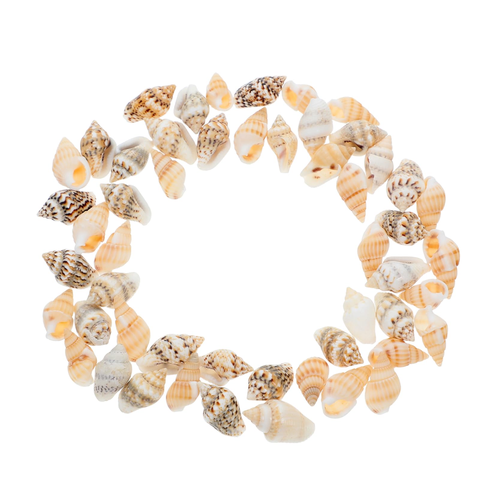 STOBAZA 50pcs Realistic Mini Seashells Decor Beach Props DIY Craft Materials for Landscape Decorations