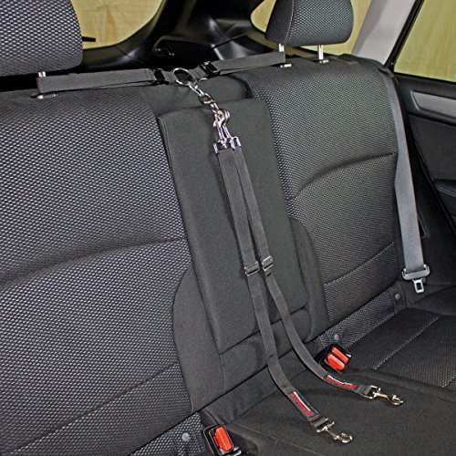 Bushwhacker - Paws 'n' Claws Two Dog Tangle Free Tether Vehicle Adjustable Restraint K9 Backseat Leash Truck Seat Belt Split Double Lead Car Harness Pet Barrier SUV Carrier Extender Cover Tie Down 2