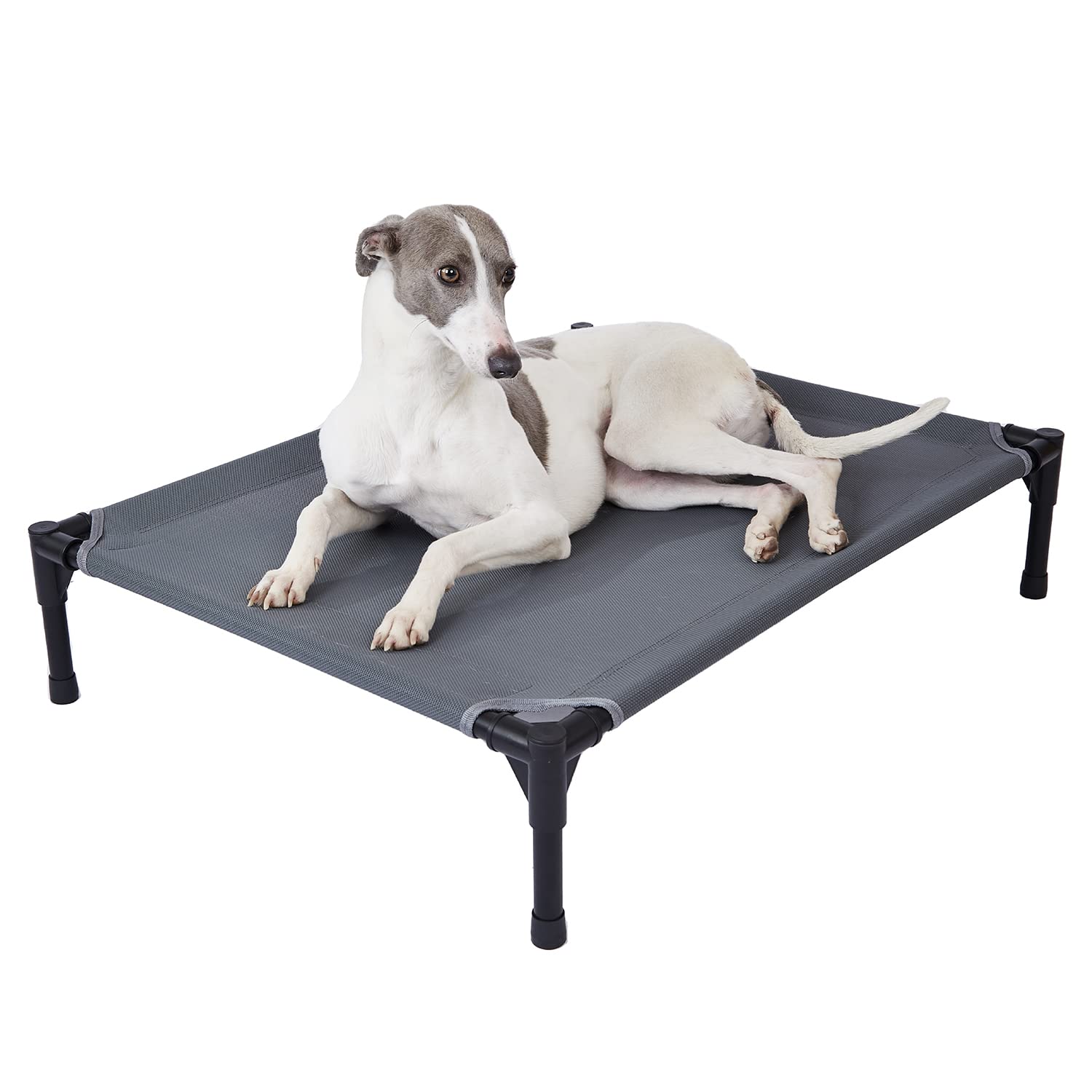 Outdoor Dog Beds Magshion Cooling Elevated Dog Bed With Pillows
