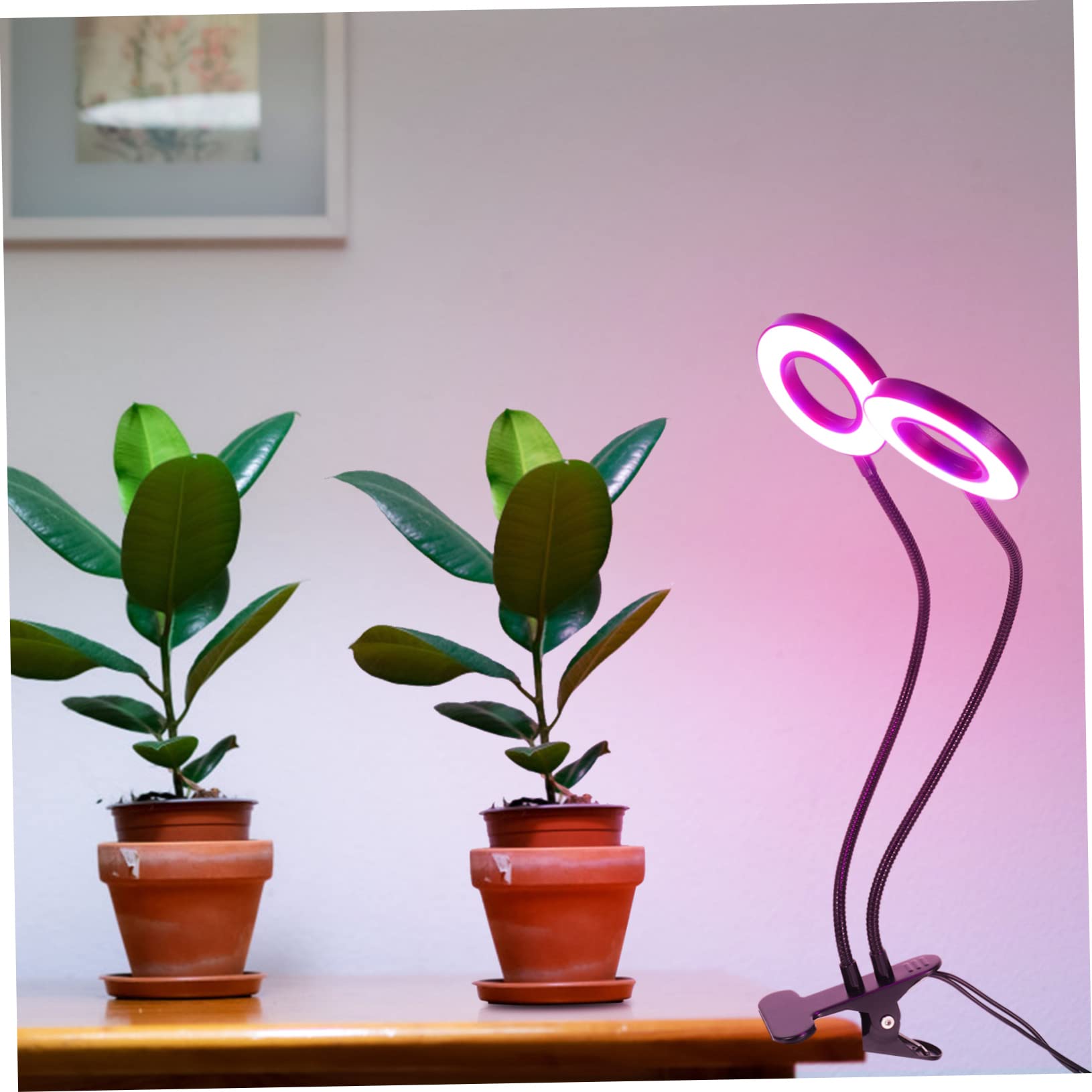 POPETPOP Lampe LED pour Plantes à Pince, Double Tête, Réglable, 5 V
