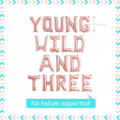 Miniatura 5 de Paquete de decoración Young Wild y tres banderines de flecha con purpurina verde, rosa, amarillo, flecha, feliz cumpleaños, decoración dorada para