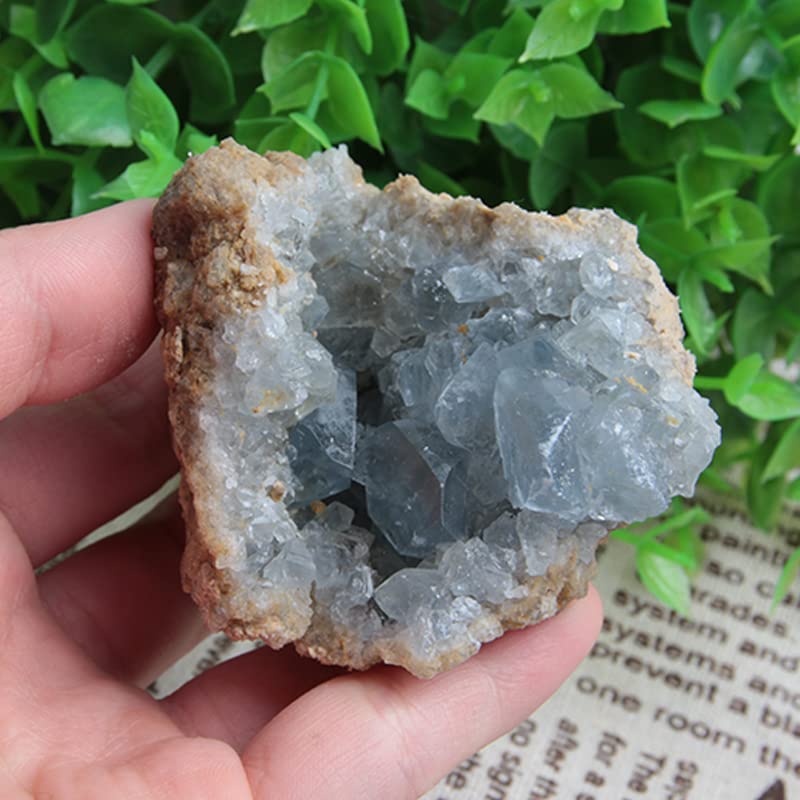 Image of Acxico 1Pcs Celestite Cluster Large 2.5 inch - 3.5 inch Blue Celestite Gemstone Mineral Specimens