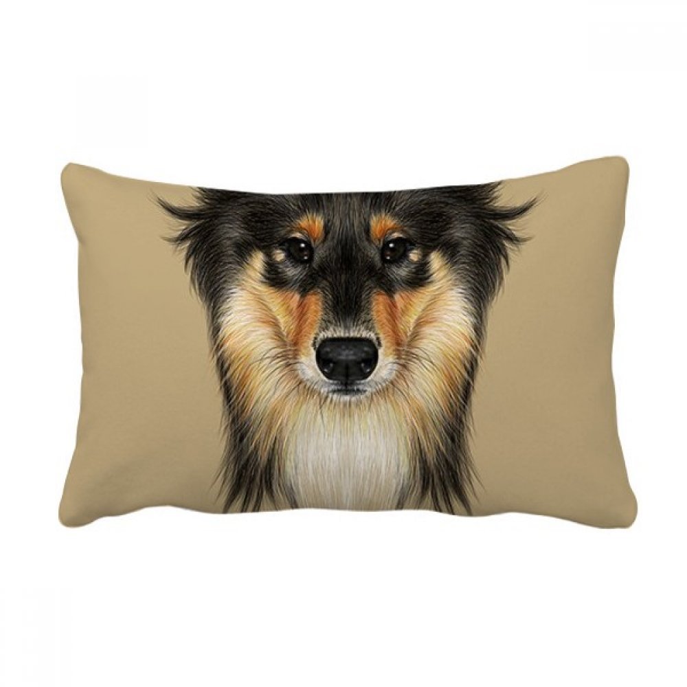 Coussin de canapé Colley à poil long oreiller lombaire multicolore pour intérieur