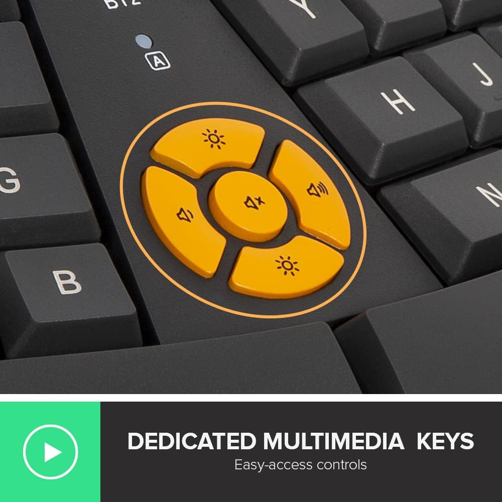 قیمت و خرید از آمازون عکس 5