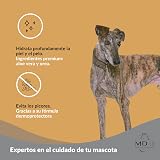 Ver la foto 2