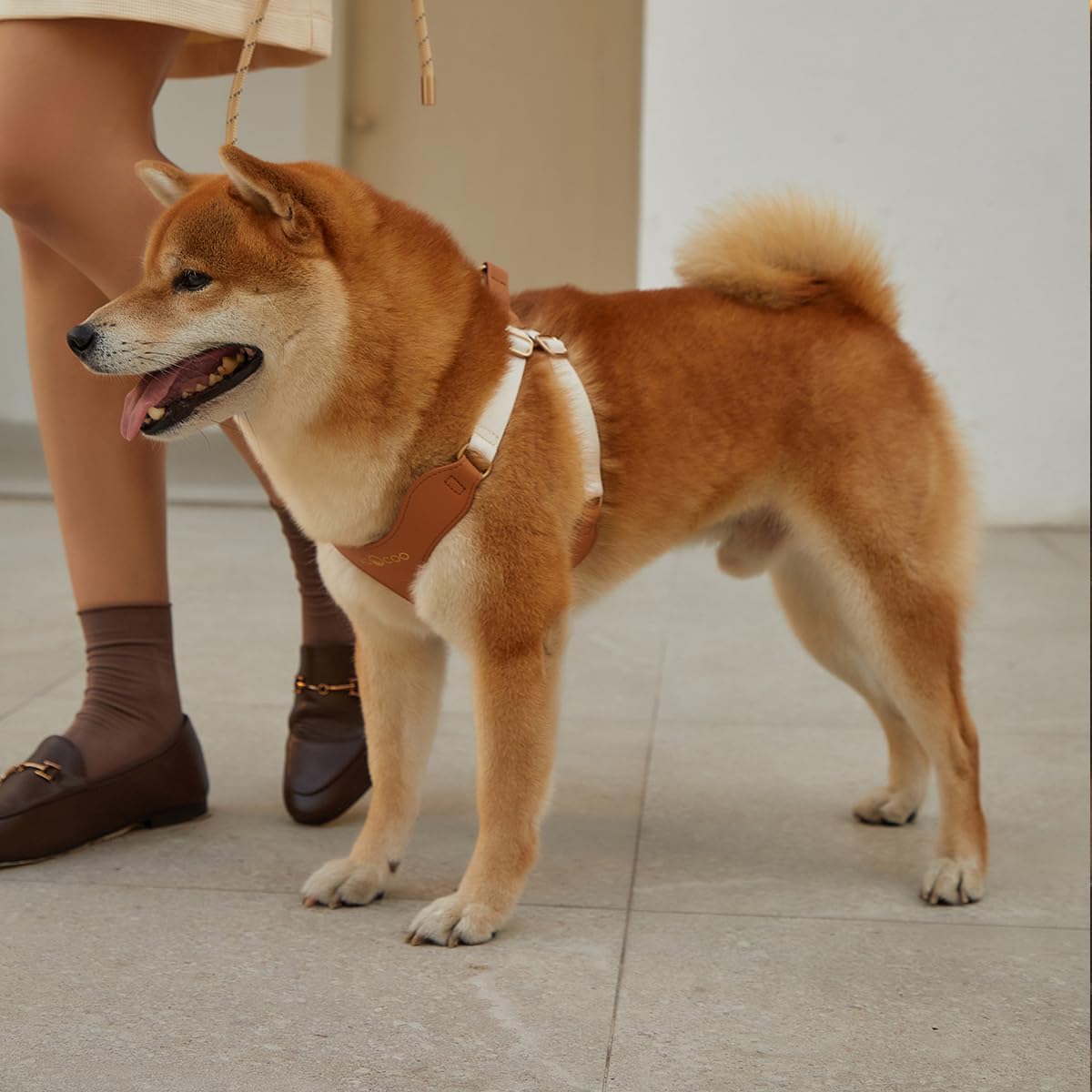 VOOCOO Dog Harness and Leash Set, No Pull No Choke Neck & Chest Adjustable Pet Harness for Small, Medium Dogs, Soft PU Leather Dog Harness with Reflective Anti-Twist Dog Leash for Puppy, Kitten, Cats