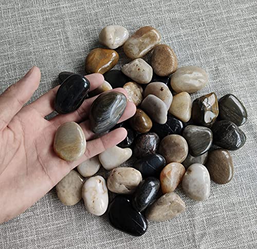 Kiesel Natur Deko Polierte Deko Steine ​​Naturkiesel Kies für Garten Steine ​​2-4 cm 900g Kiesel Garten/Aquarien/Pflanzendeko