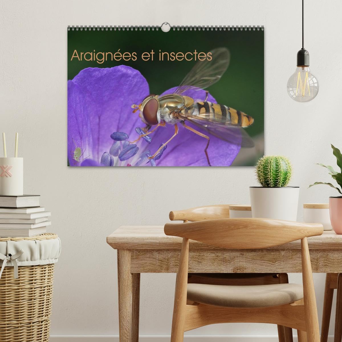 Araignées et insectes (Calendrier mural 2026 DIN A3 vertical), CALVENDO calendrier mensuel: Un calendrier sur les araignées et les insectes qui nous entourent.