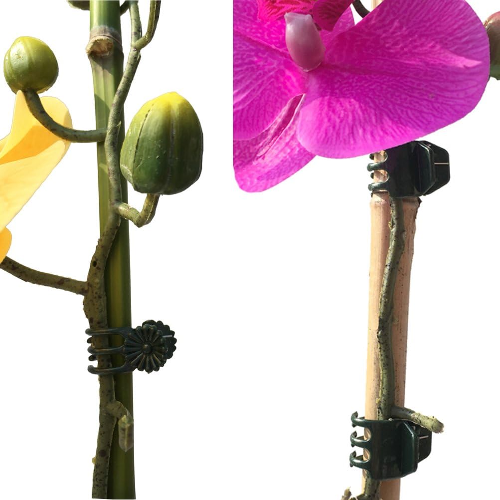 Vtete 20 Pcs Large and 50 Pcs Small Daisy Orchids Clips Garden Tomato Trellis Clips to Keep Plant Neat and Healthy, Green