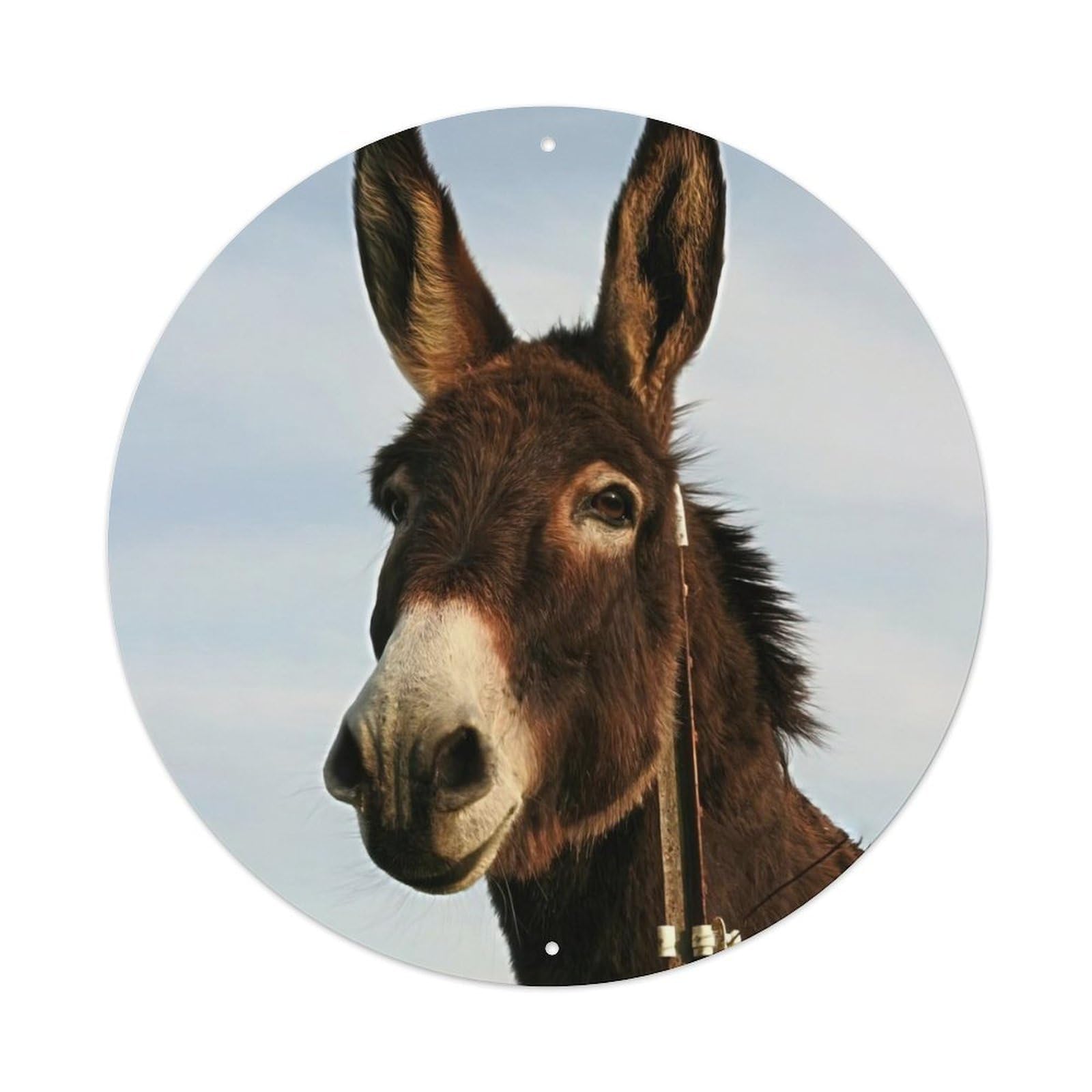 Animal Catalan Donkey Vintage Metal Tin Sign Plaque Wall Decor for Cafe, Club Bar, Office, Garden Metal Poster 8x8Inch