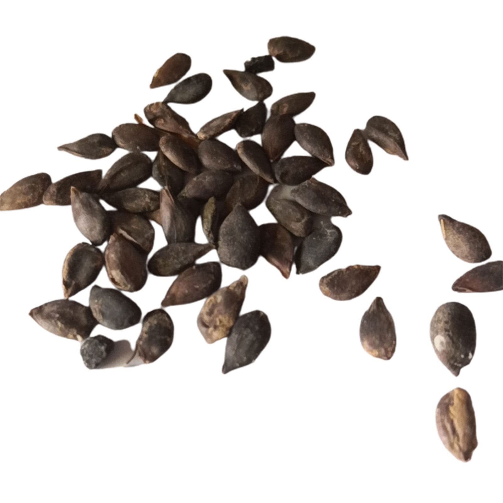 YBWL 30Pcs/Bag Pepino Melon Seeds Non GMO Easy Care Nutritious Muricatum Aiton Seeds Ginseng Fruit Seeds for Garden Fruit Seeds for