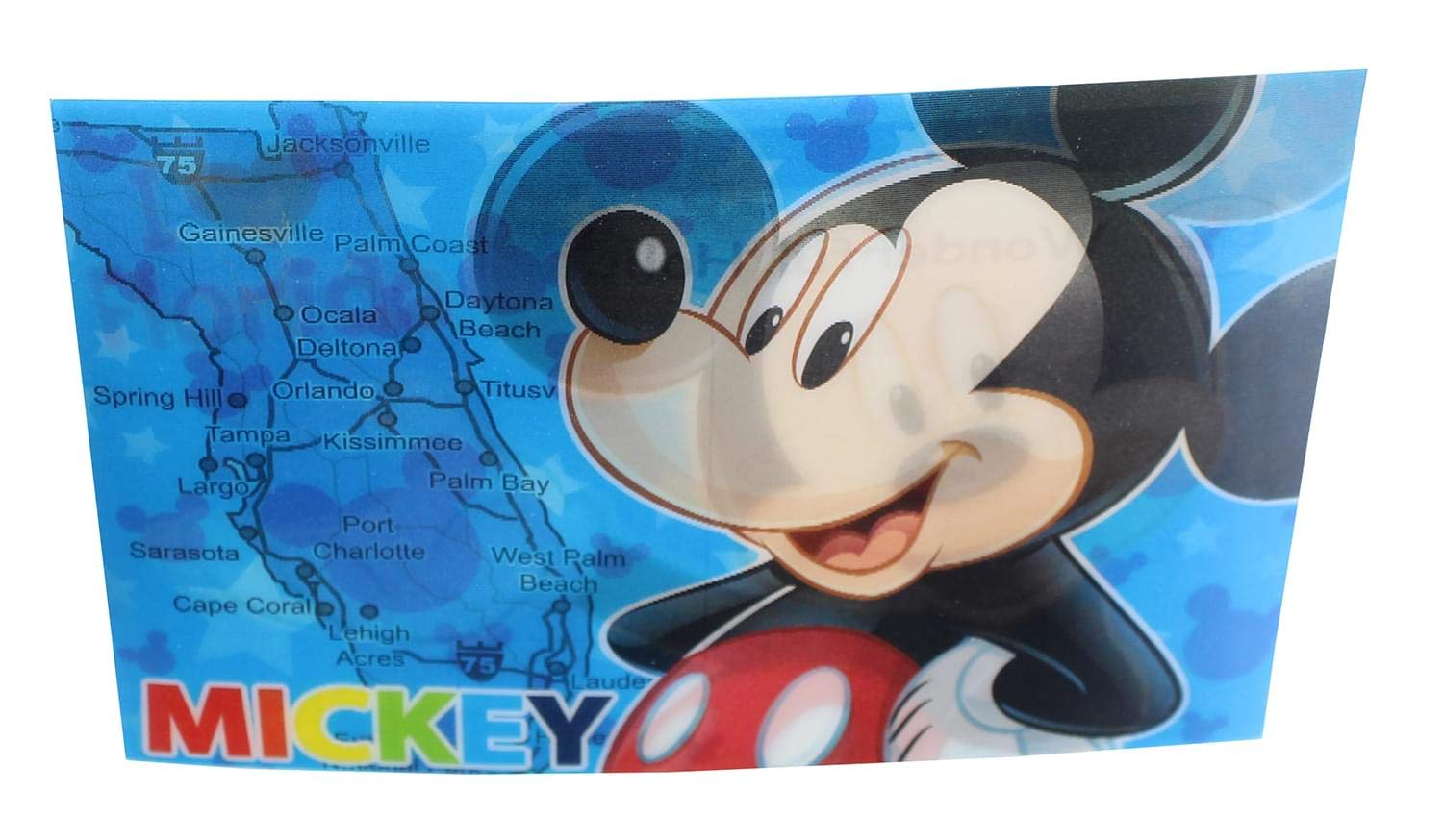 Amazon.com: Disney Mickey Mouse Florida 3D Motion Picture Card