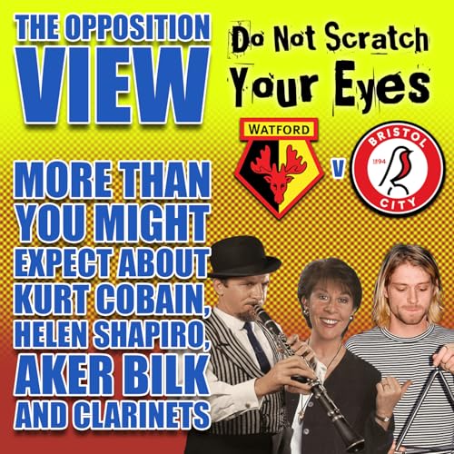 OPPOSITION VIEW - BRISTOL CITY (HOME) Podcast Por  arte de portada
