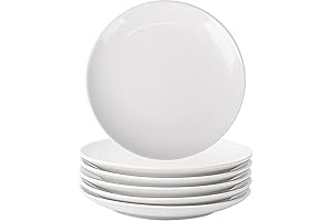 DELLING 10 Inch Ceramic China Dinner Plates Set of 6