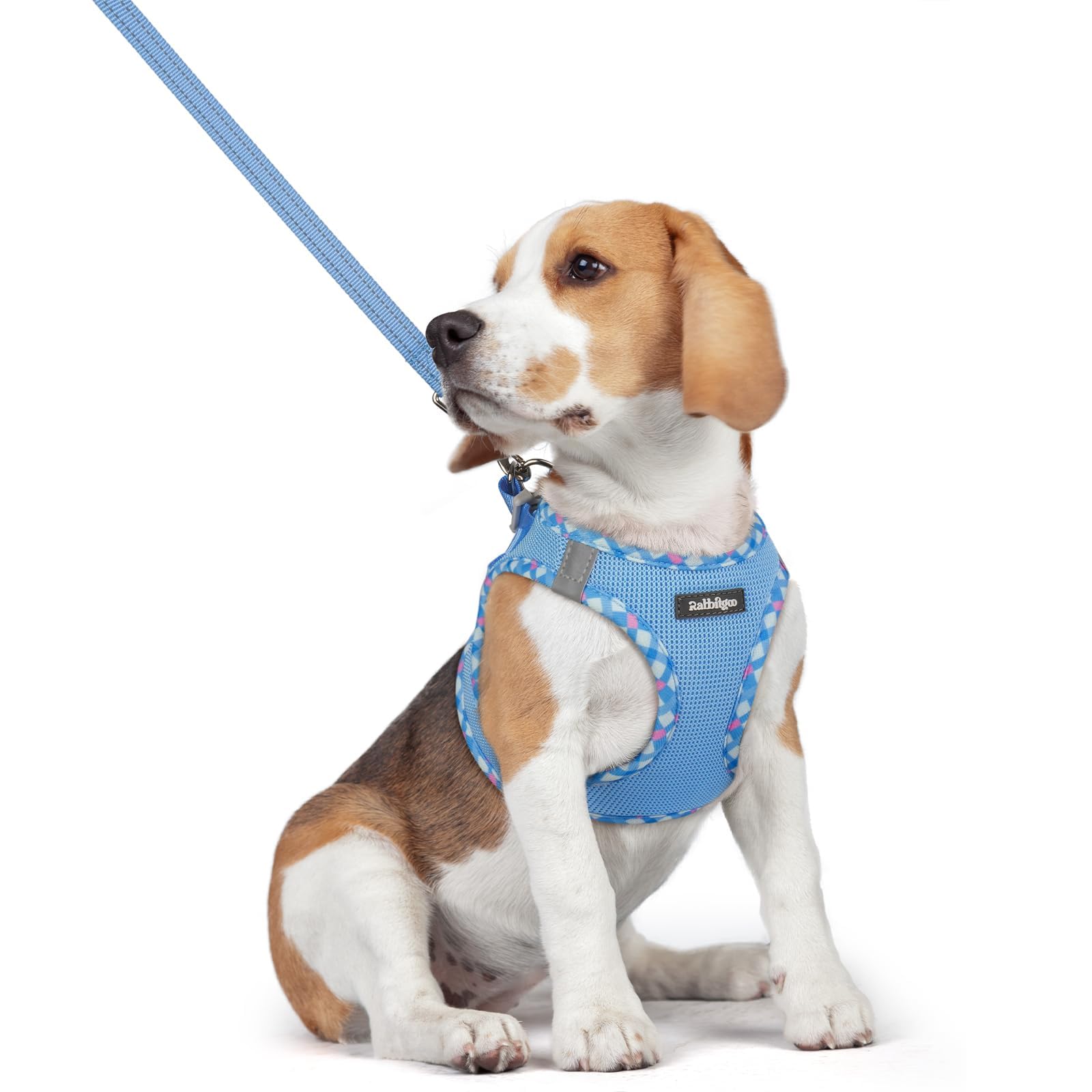rabbitgoo Dog Harness Small Dog and Leash Set, Step-in Soft Mesh Puppy Harness with Reflective Strips, Lightweight Breathable Pet Vest for Walking Training, Blue & Plaid Trim, L
