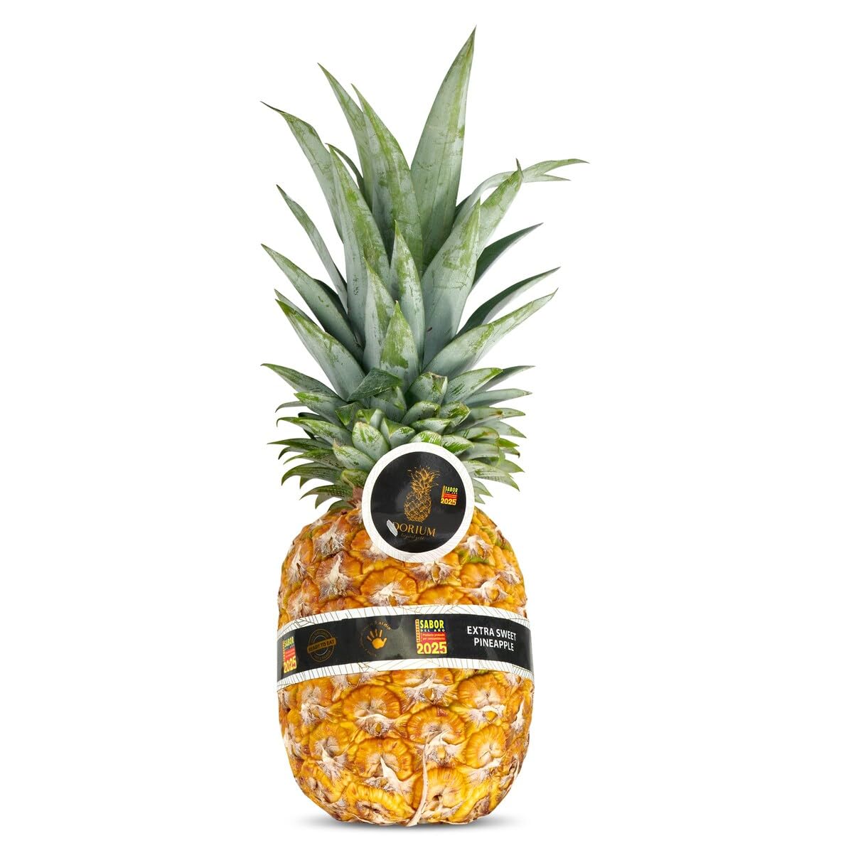 Piña gold 1.6 Kg