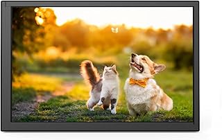 Howay 10.1 Inch Touch Screen Monitor for Raspberry Pi 4B/3B+Mini Monitor IPS Display 1024x600 Brightness Adjustment and Dual HDMI Input for Raspberry Pi 4B/3B+