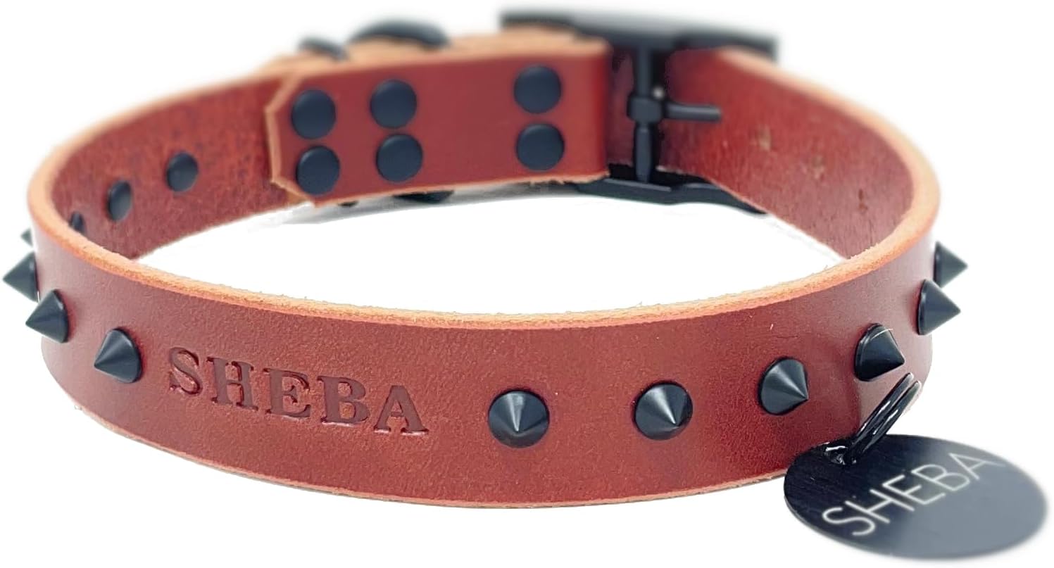 Personalized Spiked Bridle Leather Dog Collar, Solid Matte Black Stainless Steel Round ID Tag (Pink)