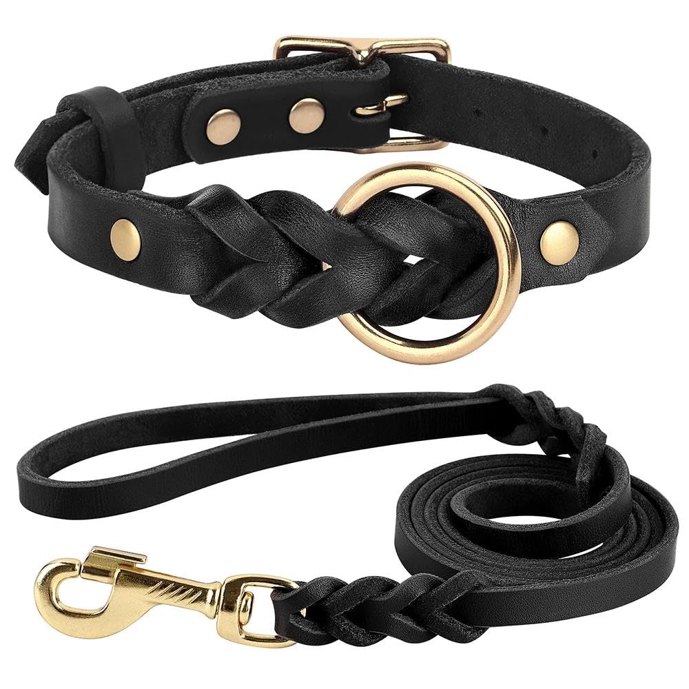 Set Collare E Guinzaglio Per Cani In Pelle Resistente Set Collare E Guinzaglio Per Cani Intrecciati Set Collare E Guinzaglio Per Cani In Pelle PU Set Collare E Guinzaglio Per Animali Domesti