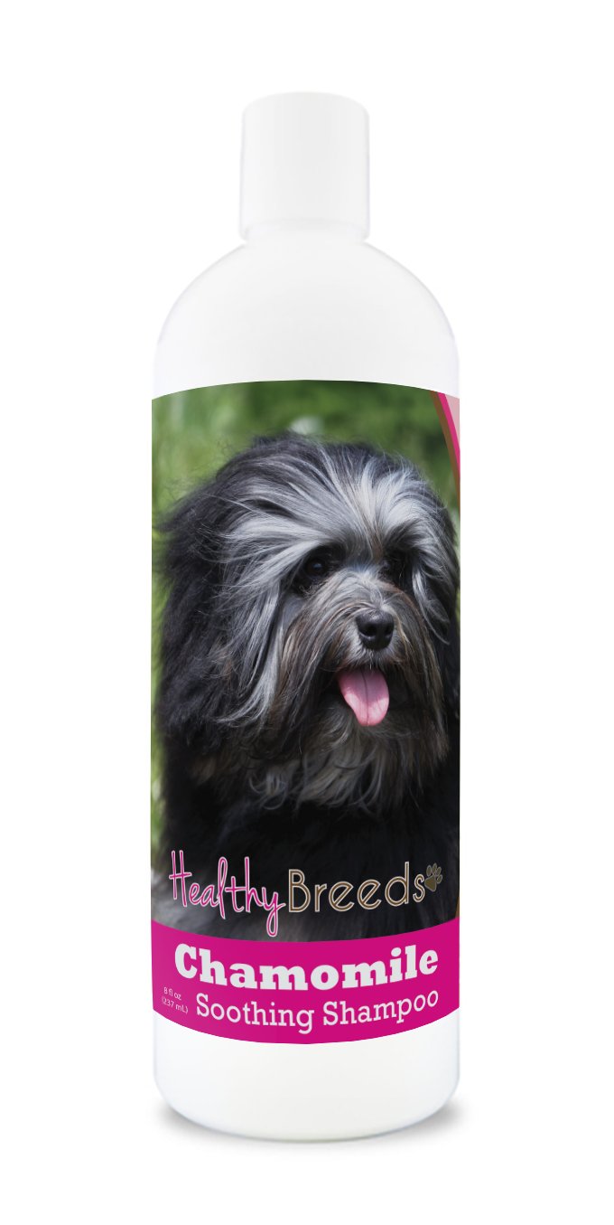 Healthy Breeds Yorkshire Terrier Chamomile Soothing Dog Shampoo 8 oz — view 31
