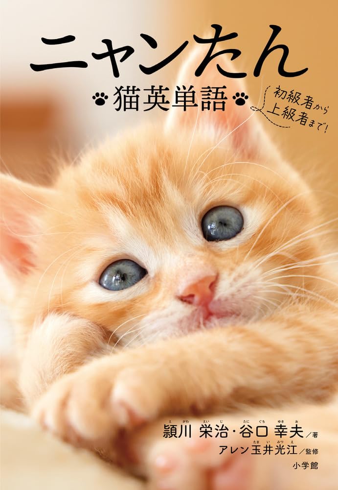 ニャンたん: 猫英単語 | 頴川 栄治, 谷口 幸夫 |本 | 通販 | Amazon