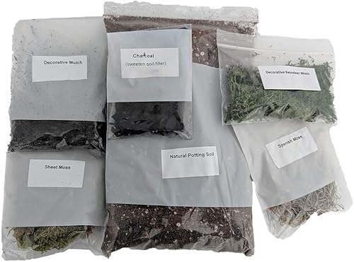 Hirt's Gardens Kit de terrario: crea tu propio terrario vivo