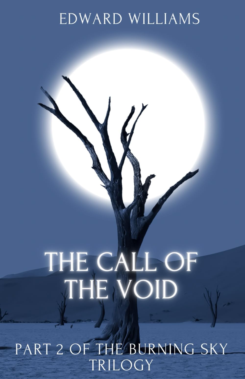 The Call of The Void (The Beneath the Burning Sky trilogy)