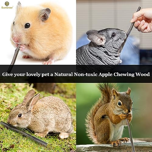 Image of SunGrow Apple Sticks, Wood Chew Treats for Rabbits, Chinchillas, Bunny, Hamster, Squirrel, Guinea Pigs, Small Animals Teeth Grinding