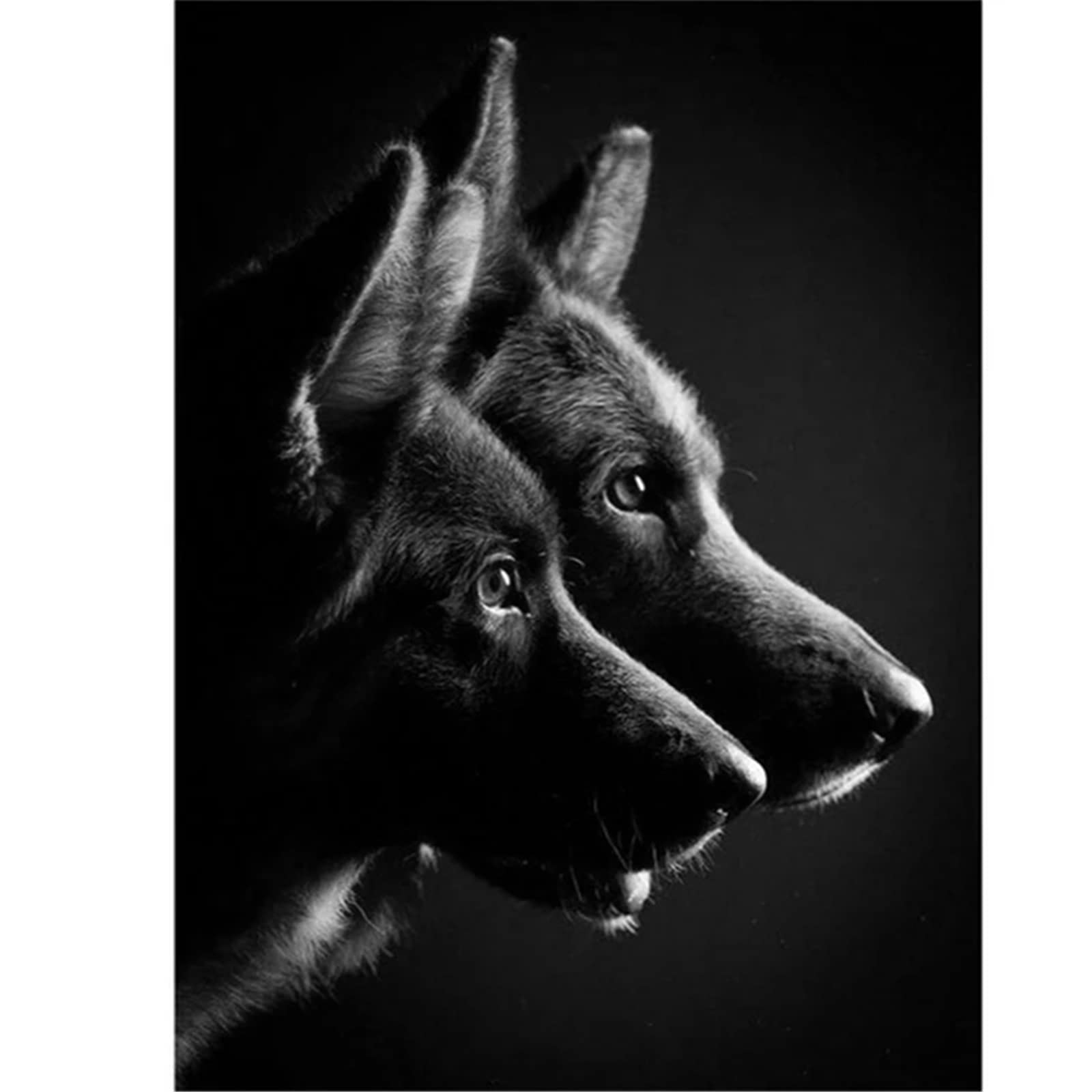 COKYIS 5D Diamond Painting chien de berger DIY Diamant Painting Kit Complet Diamant Arts Canevas Craft Maison Décoration Murale Decor(40 * 50cm