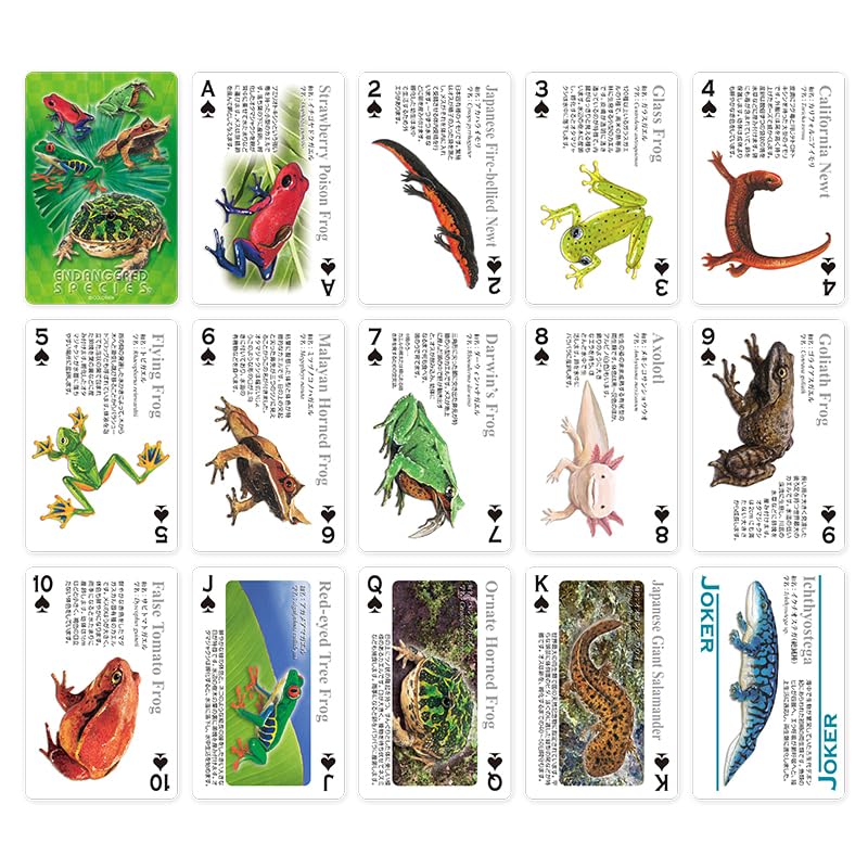 Amazon.co.jp: カロラータ リアル両生類 トランプ (両生類/クイズ付き