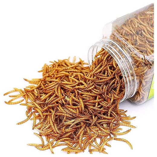 BNYEE Reptile Food Dried Mealworms Pet Worms Food for Bearded Dragon, Lizard, Turtles, Chameleon, Monitor, Frog, Sugar Glider, Chickens, Birds, Hamsters and Hedgehogs (3.5 OZ)
