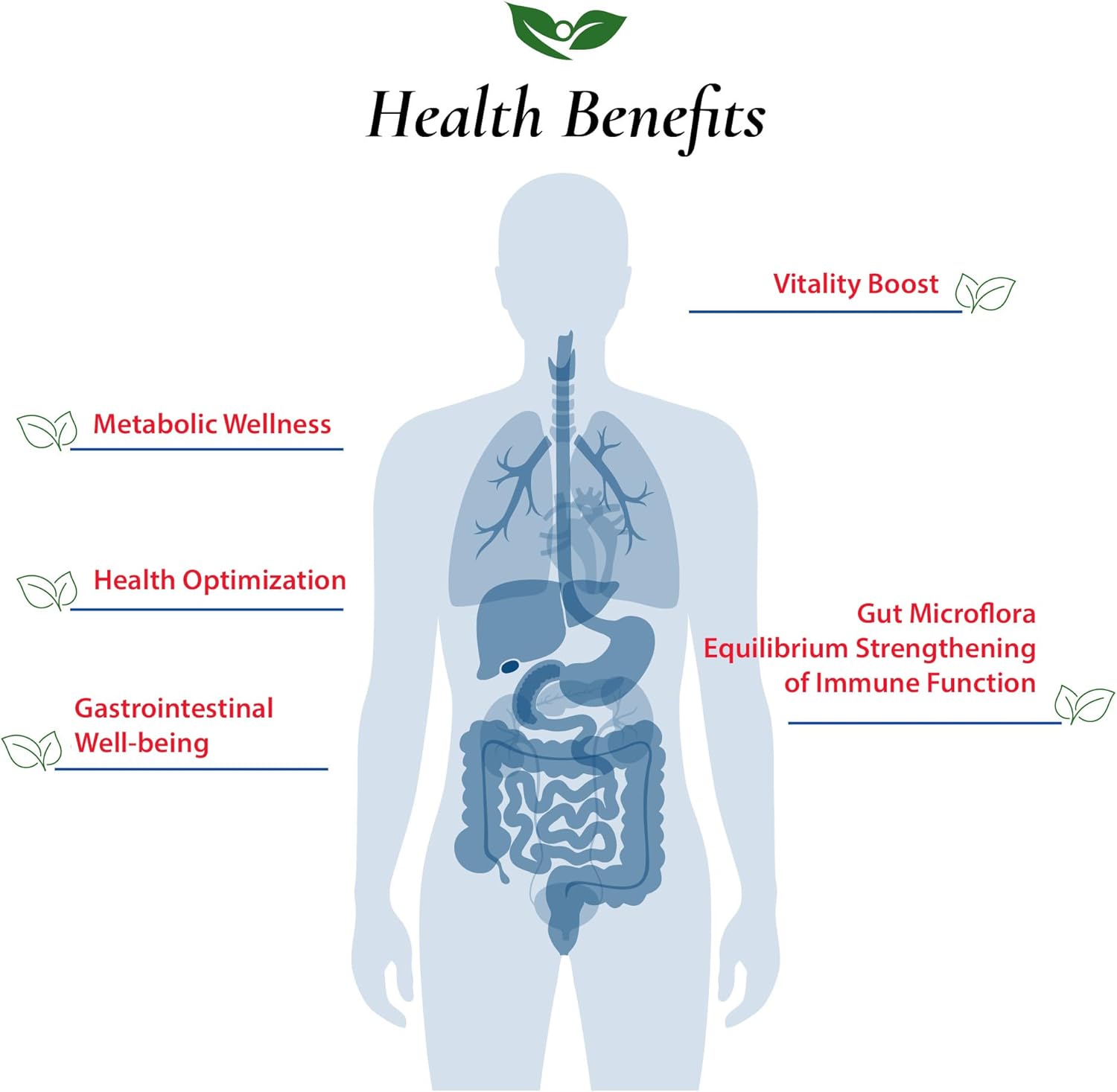 Foods For Gut Lactobacillus Casei Probiotic Powder 300 Billion cfu's | Made in USA | No Additives | Direct from Manufacturer | No Third-Party Storage | Immune Support | L. Casei | 30 Grams (1.05 Oz) - Image 4