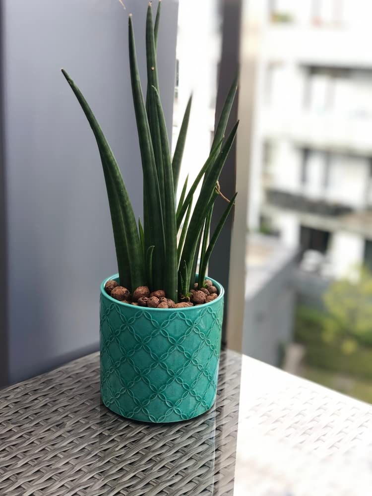 KOTARBAU® Keramik-Blumentopfset mit Dekorationen 6 Stück 130 x 135 mm Türkis