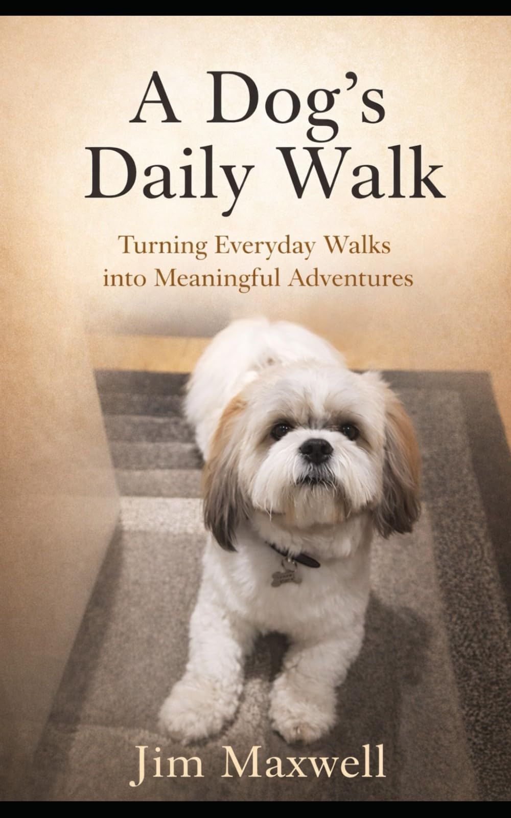 A Dog’s Daily Walk: Turning Everyday Walks into Meaningful Adventures