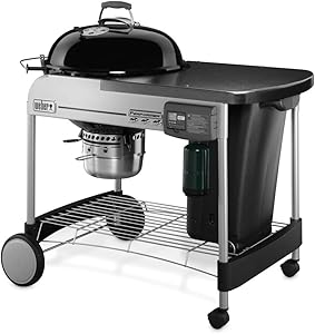 7 Best Small Gas Grills 9 61F835StBQL. AC SL300
