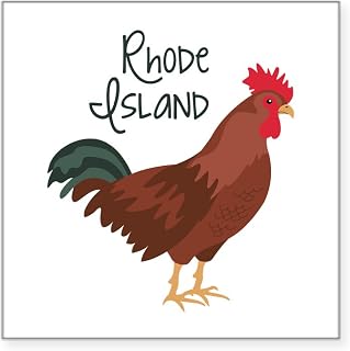 CafePress Rhode Island Red Chicken Sticker Square Bumper Sticker Car Decal