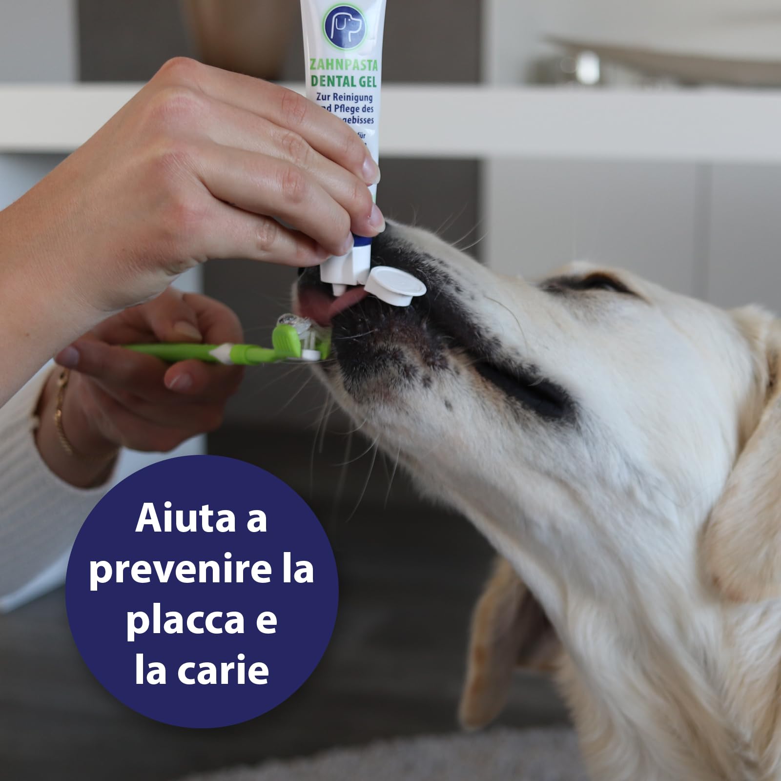 Canosept dentifricio per cani 100g - pulizia denti cane - alitosi cane - cura dentale