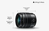 Panasonic H-FS12060E Lumix G Vario 12-60 mm F3.5-5.6 Aspheric Lens (5x Zoom, Power O.I.S., Image Stabiliser, Dust/Splash Protection) Black - 2