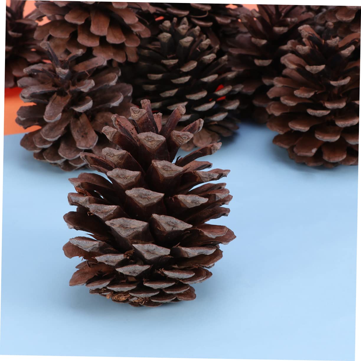 50stücke Natürliche Für Weihnachtsbaum-Dekoration -Dekoration Winterdeko Tischdeko Bastelmaterial Haus Und