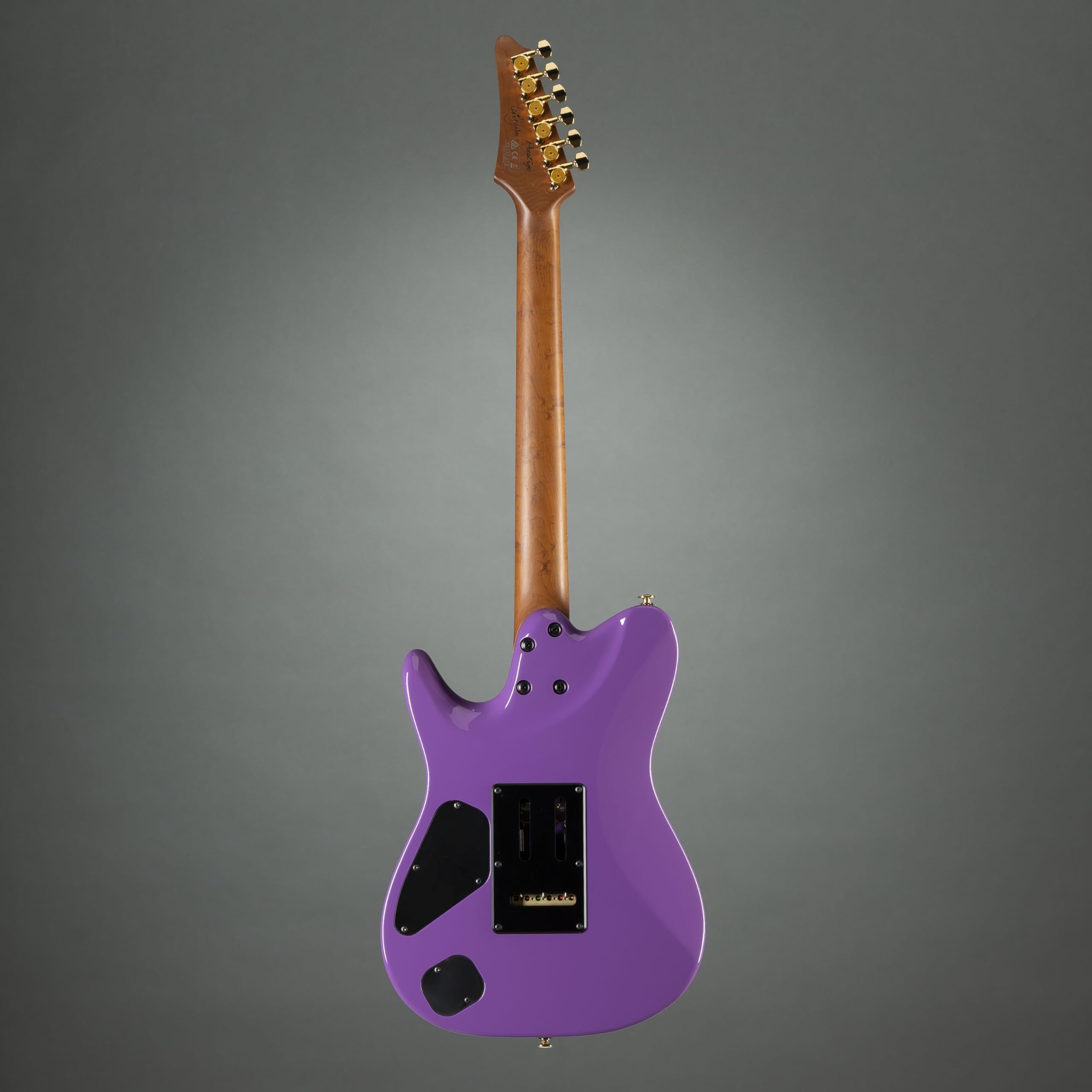 Amazon.com: Ibanez LB1 Lari Basilio Signature Electric