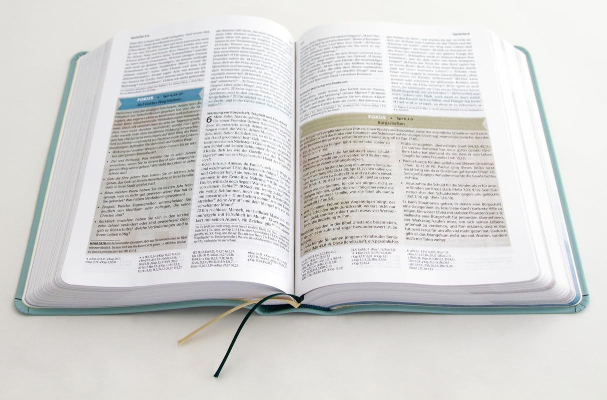 Sein Wort - meine Welt. Lederausgabe: Die Studienbibel für das 21. Jahrhundert (Elberfelder Bibel)