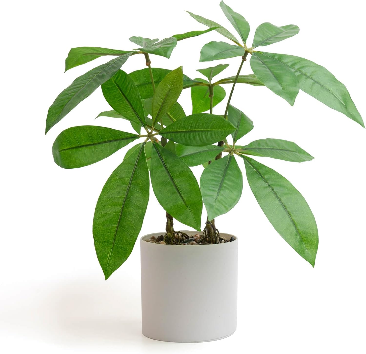 WillingYou パキラ フェイクグリーン 35cm