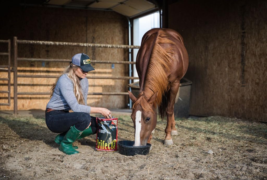 Trifecta 4 in 1 Complete Equine Vitamin Mineral Supplement, with MSM, Hyaluronic Acid, & Glucosamine for Joint Support, Hoof Support, Gut Support in a 10 lb Bag, 20 Day Supply