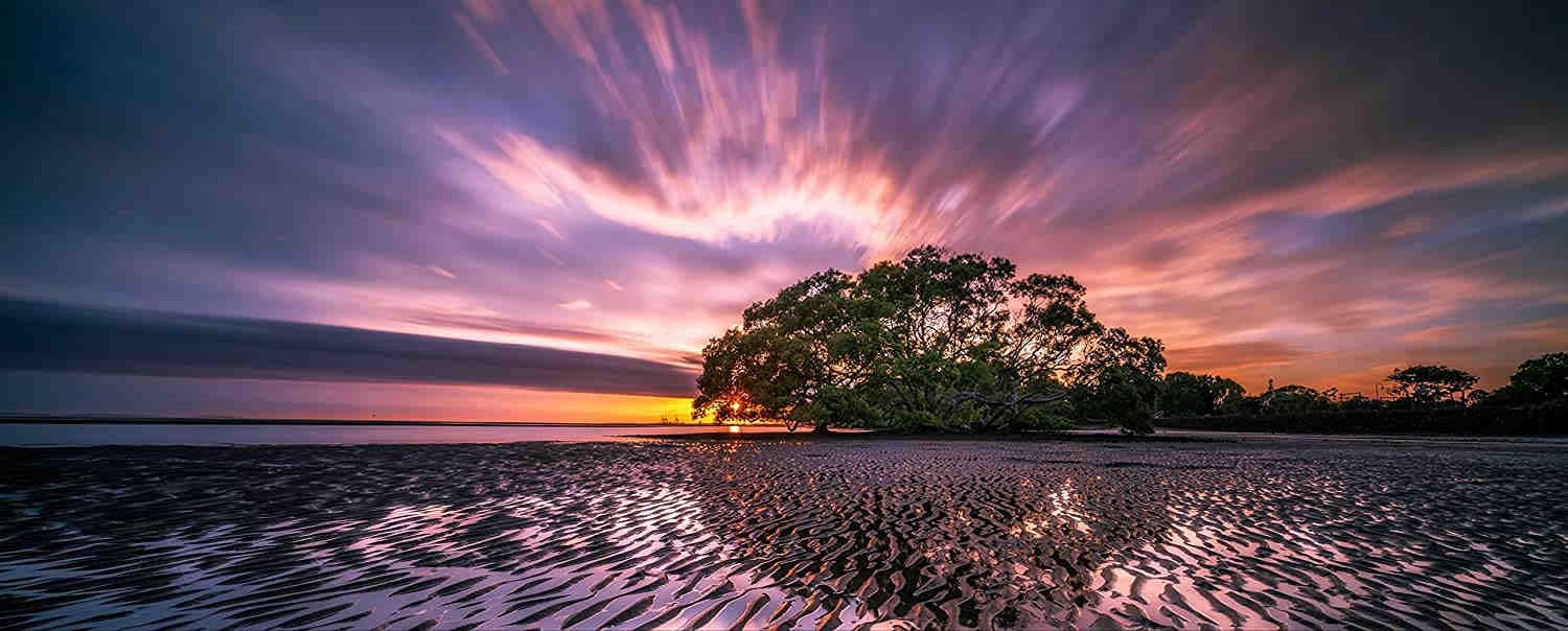 Trees in the Water at Sunset - 1500 Piece Wooden Puzzle - Best Gifts for Adults and Kids