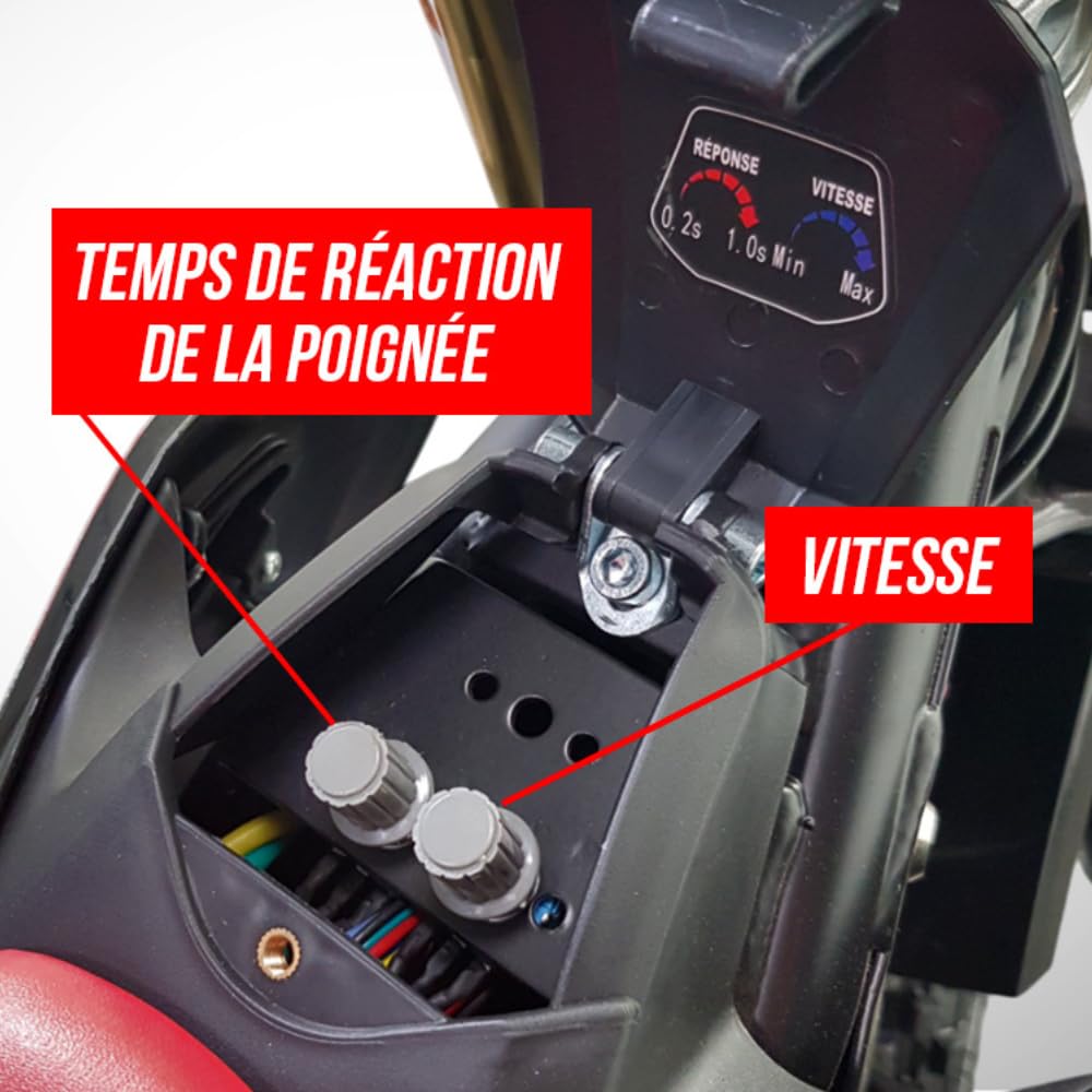 Moto Enfant Électrique 1300W / Moto cross ORION 1300W / 14/12 / Édition 2021 / Rose