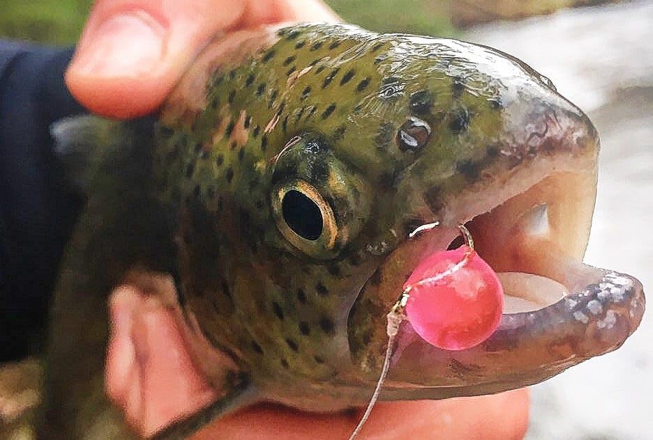 Crappie Fire Balls avec libération prolongée du parfum attractif - 5