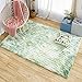 Produktbild QBASA Plüsch Wohnzimmer Teppich, Wohnkultur Weiche Flauschige Matte Moderne Schlafzimmer Bodenmatte Sofa Couchtisch Matten Kinderzimmer Decke 80x200 cm grün