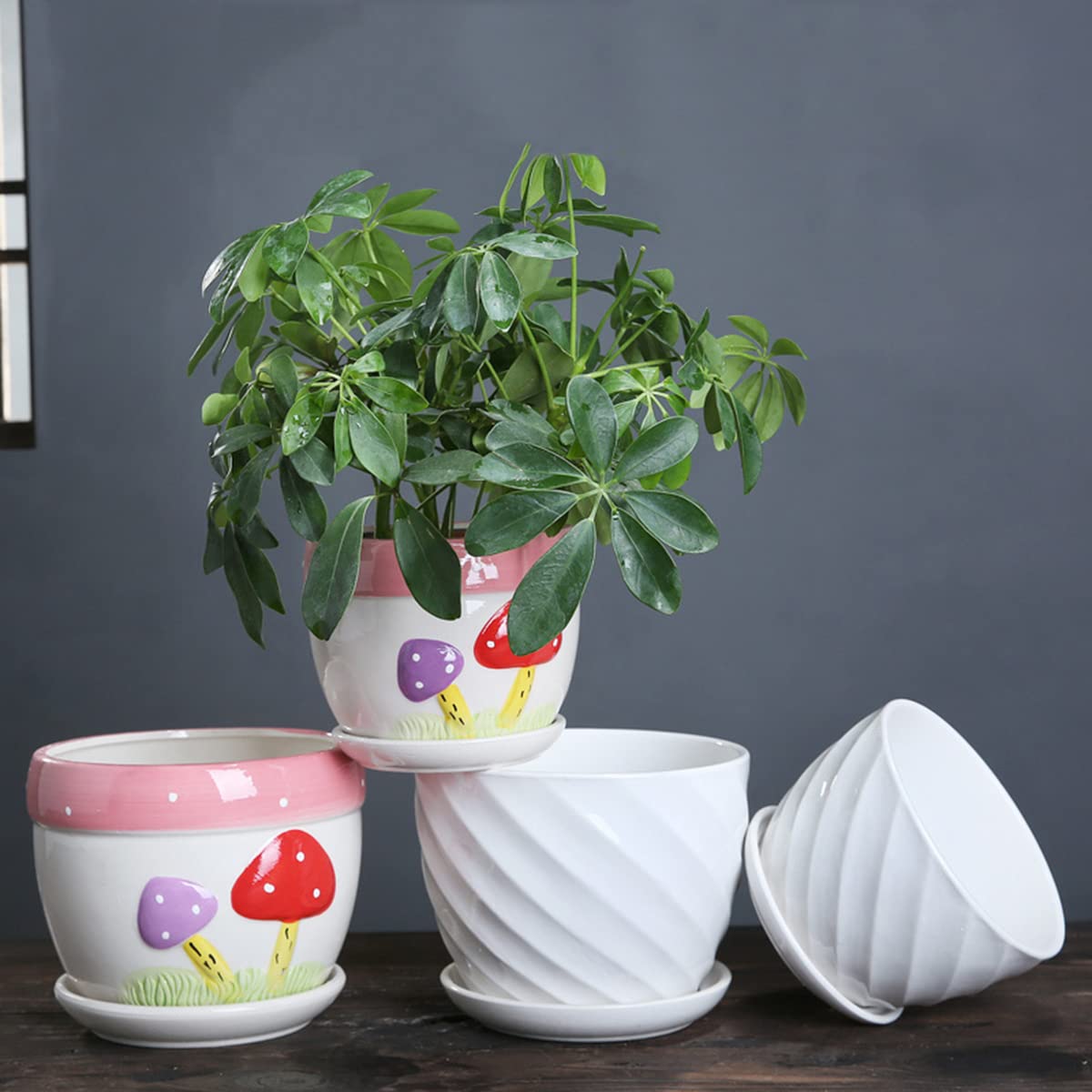 Amazon.co.jp: 植木鉢 鉢 セラミック 3個セット 底穴あり 受け Amazon.co.jp: 植木鉢 鉢 セラミック 3個セット 底穴あり 受け